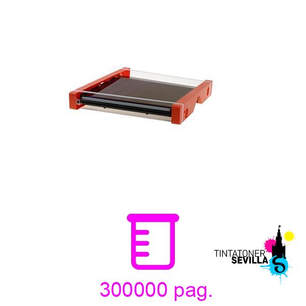 Compatible Banda De Transferencia Konica Minolta Bizhub A161R73311